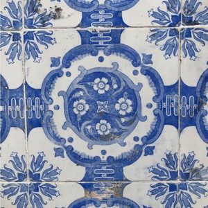 Meet your Posher, Betty